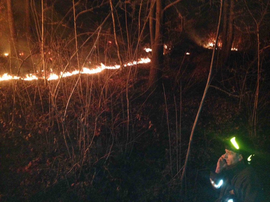 incendio malonno bosco