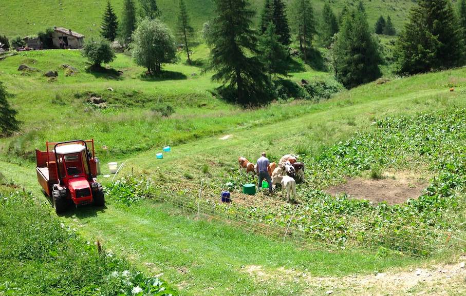 EDOLO - Legge sulla montagna, il sindaco di Edolo: occasione storica