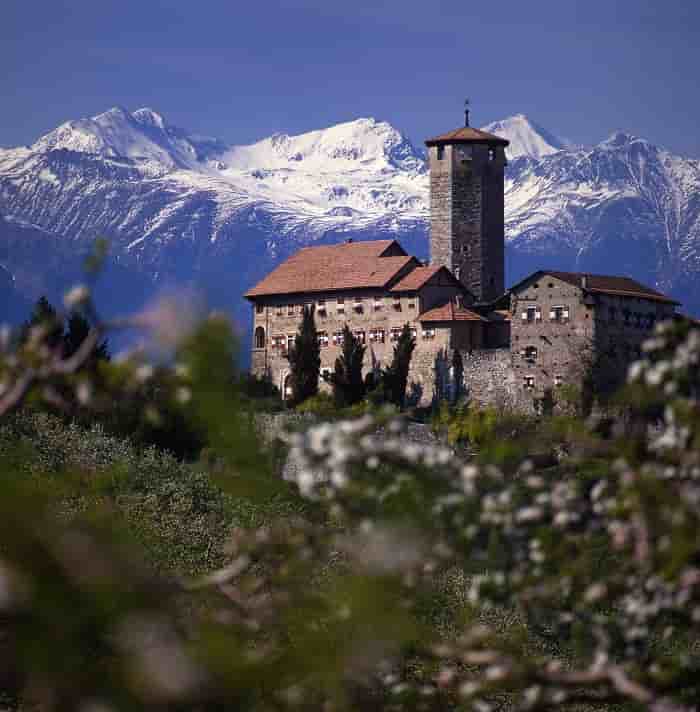 VAL DI SOLE E NON - Bellezza e solidarietà, il Natale a Castel Valer