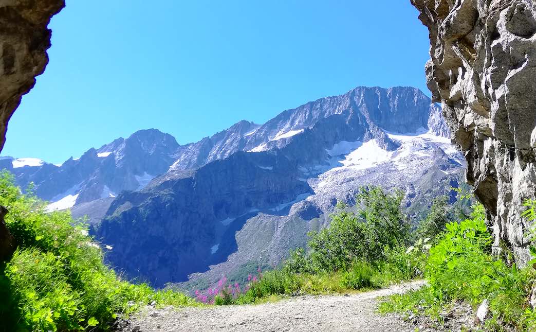 TONALE - Estate 2024, l'iniziativa "Andar per monti" in Val di Sole