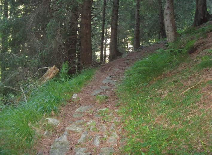 ATTUALITÀ - Valorizzazione delle strade e dei sentieri di montagna