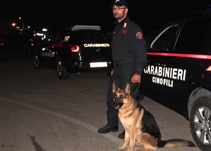 CRONACA - Trento: 32enne arrestato per la tentata rapina in via Conci