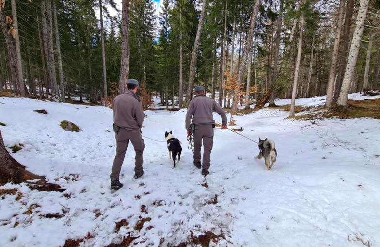 TRENTINO - Trento: Failoni ha incontrato i vertici del Servizio Foreste