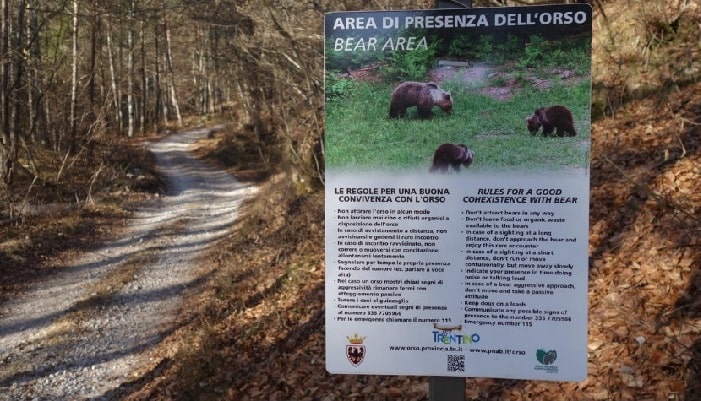 ATTUALITÀ - Orsi in Trentino: 61 ricorsi e 140 pronunce sulla gestione