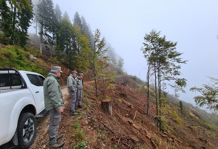 TRENTINO - Tempesta Vaia, cantieri forestali per un investimento di 20 milioni