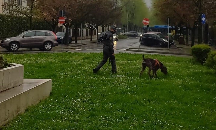 CRONACA - Disseminava bocconi avvelenati in Val Seriana, denunciato