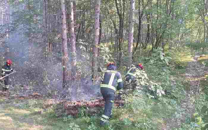 ATTUALITÀ - Incendi boschivi: risorse a Valle Camonica e Valtellina