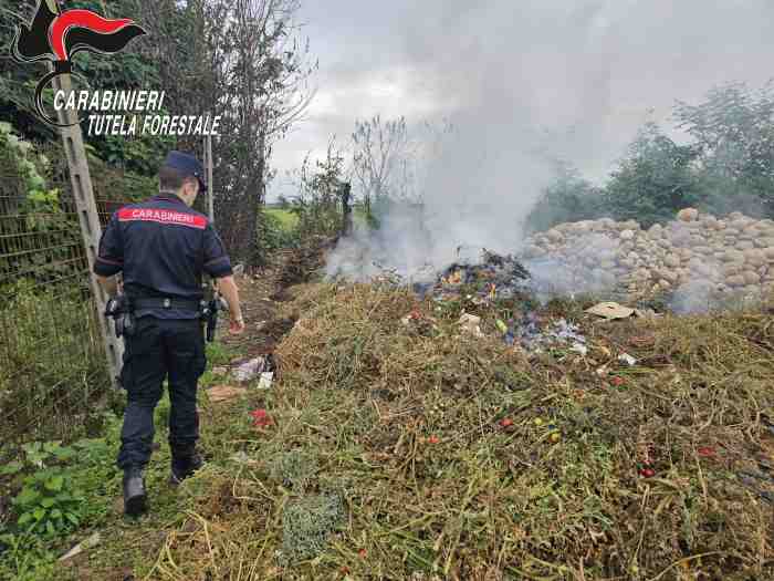 CRONACA - Costa Volpino: interventi dei Carabinieri Forestale su incendi