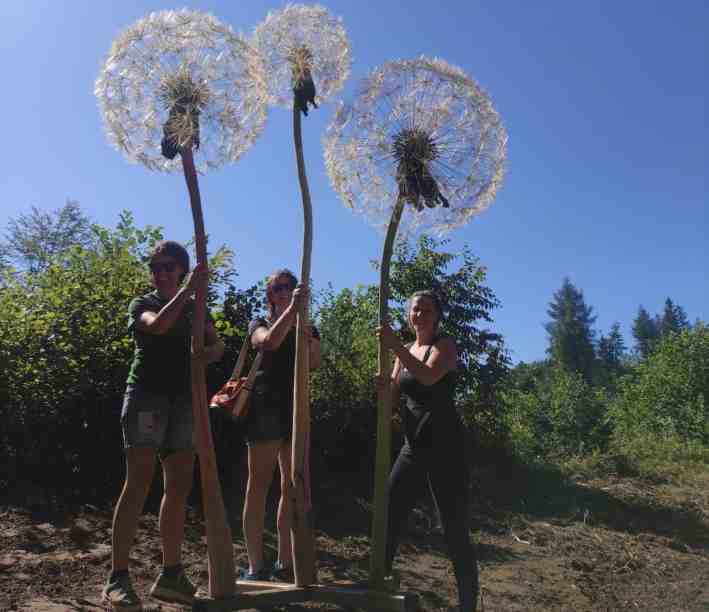 ALPE CIMBRA - Lavarone: inaugurazione di due nuove opere al Respiro degli Alberi