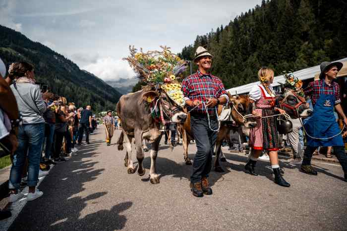 ATTUALITÀ - Festa dell'Agricoltura a Peio, omaggio di fine estate della comunità