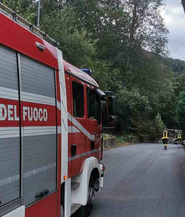 VALLE CAMONICA - Vento e caduta alberi sulla statale 42 a Sonico e Berzo Demo