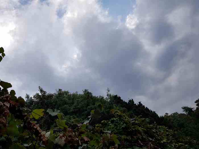 METEO - Ancora maltempo in Trentino e sull'arco alpino