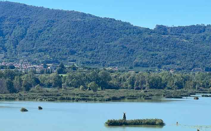 SEBINO - Biodiversità Torbiere del Sebino: l'intervento di Flavio Bonardi