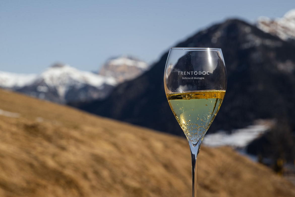 ATTUALITÀ - Val di Cembra: una delle aree più alte per la produzione di Trentodoc