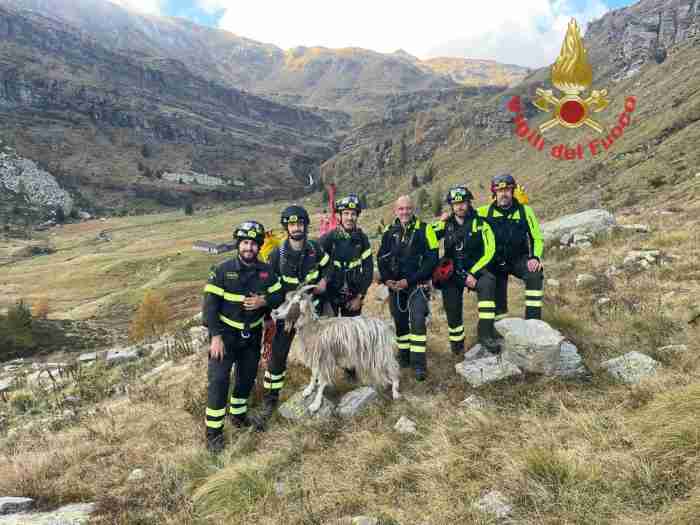 CRONACA - Sul Maniva soccorsa dai vigili del fuoco e recuperata una capra