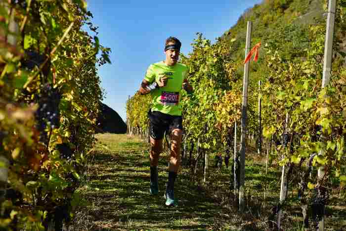 VALTELLINA - Valtellina Wine Trail: 3600 atleti iscritti, 500 stranieri