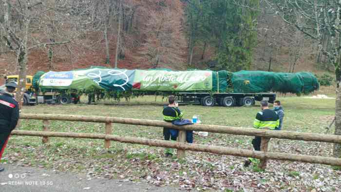 TRENTINO - L’abete ledrense pronto a partire per Roma