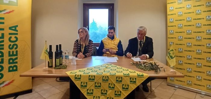 FRANCIACORTA - Olio di alta qualità e quantità inferiore alla media nel Bresciano