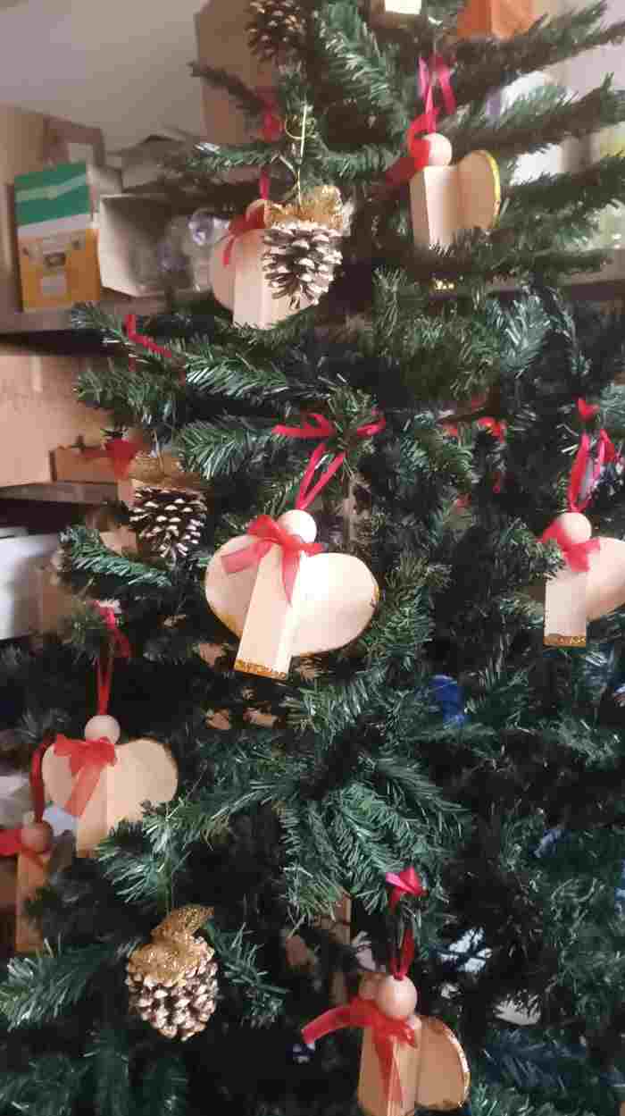 TRENTINO -  Ledro, alberi di Natale in Vaticano