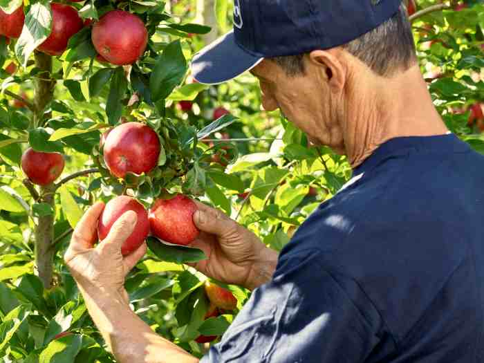 TRENTINO - La Trentina, bilancio in crescita e ottime prospettive