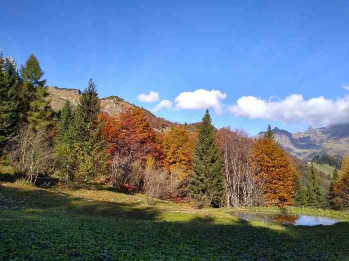 ATTUALITÀ - Transizione Climatica, "RiForestAzione" in Valle Seriana