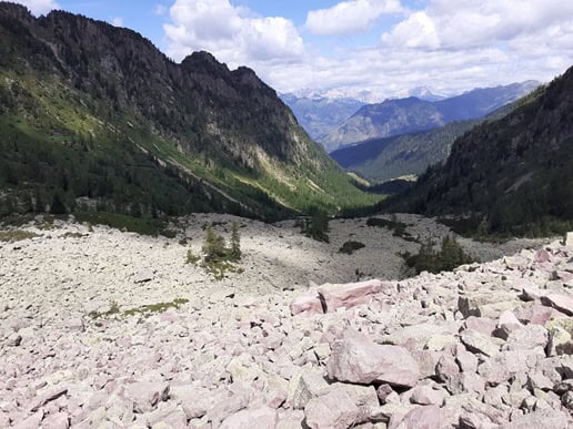 ATTUALITÀ - Gestione sostenibile delle risorse idriche alpine