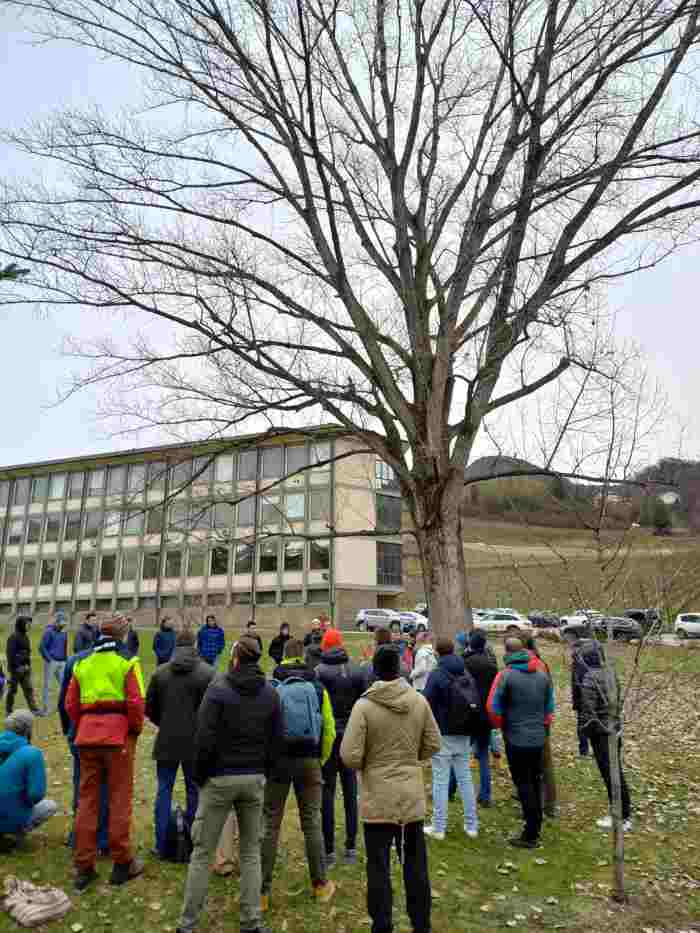 TRENTINO - Fondazione Mach: verde e agroalimentare al via i corsi brevi