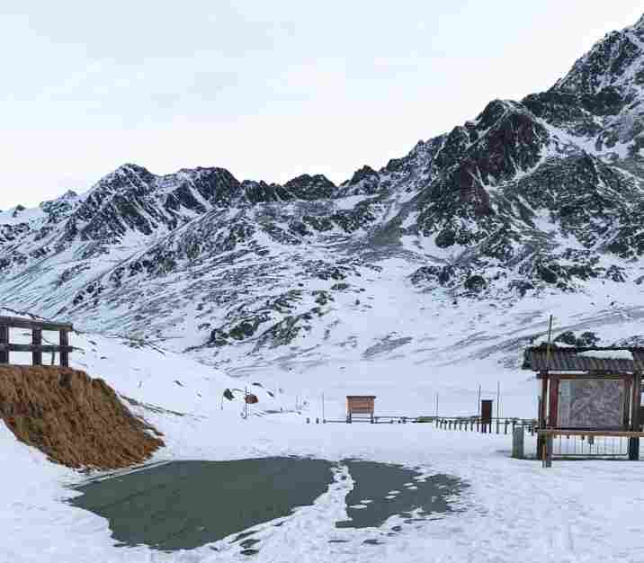 VALLE CAMONICA - Escursione al Gavia tra cervi, stambecchi e camosci