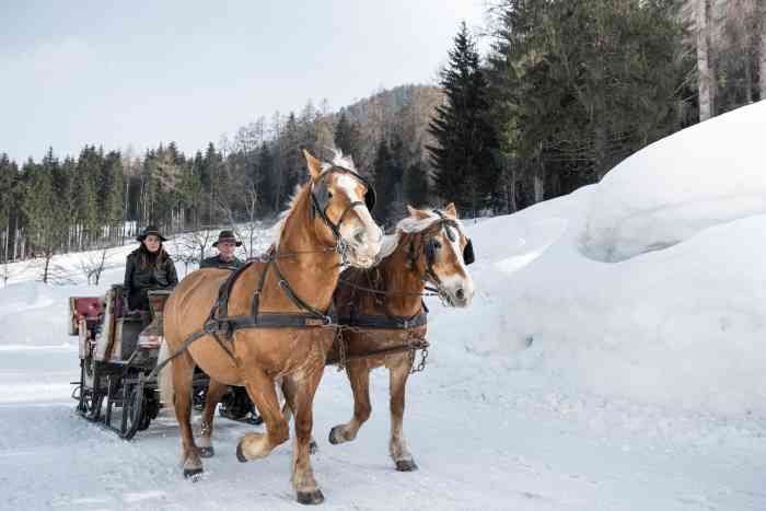 TONALE - San Valentino, dalla Val di Sole 5 idee per renderlo speciale