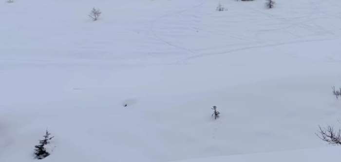 VALLE CAMONICA - Bienno: raduno scialpinistico della Valgrigna