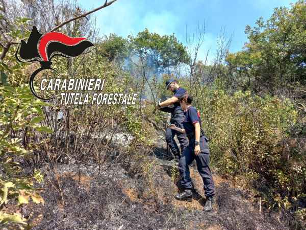 VALLE CAMONICA - Carabinieri Forestali impegnati in attività di educazione ambientale