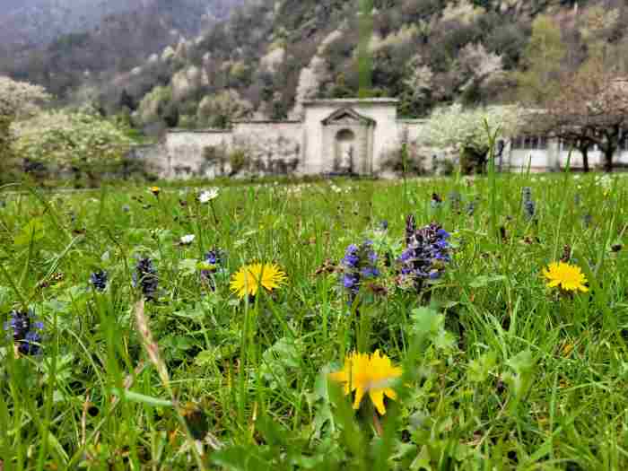 VALCHIAVENNA - Al via la stagione 2025 di Palazzo Vertemate Franchi