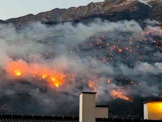 ALTO ADIGE - Incendio sopra Laces: progetto per far rinascere la zona boschiva