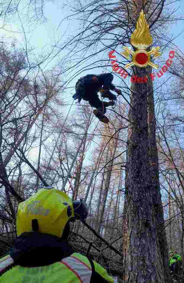 SEBINO - Sale Marasino, pilota di parapendio impigliato su un albero